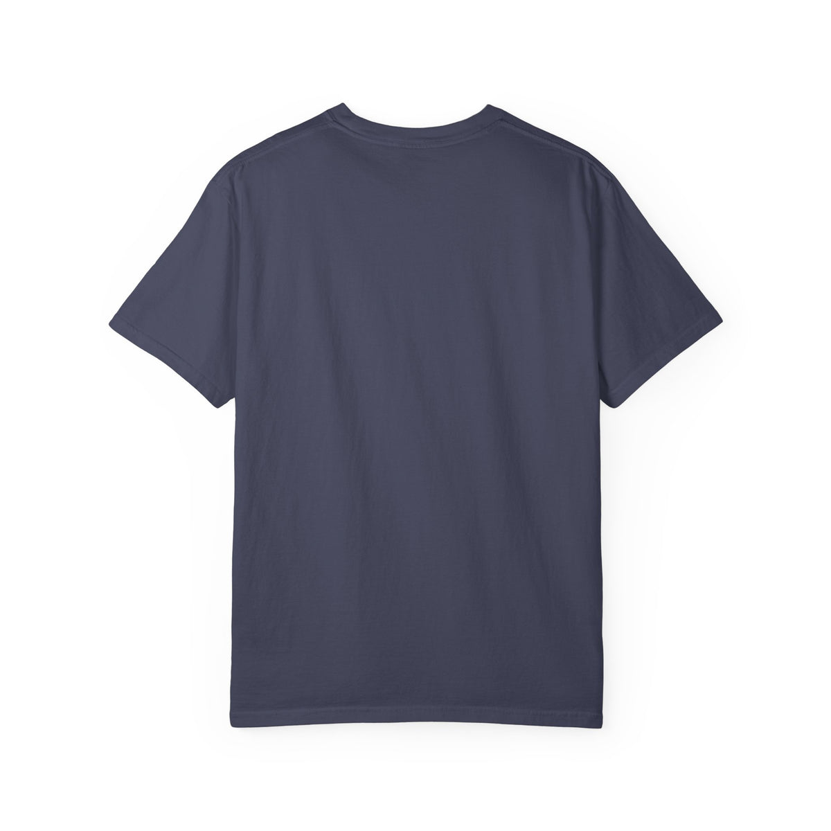well shit Funny graphic t-shirt|Sarcastic statement tee